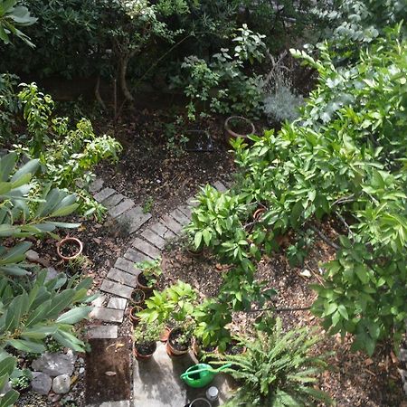 Apartments With A Parking Space Makarska - 11361 외부 사진